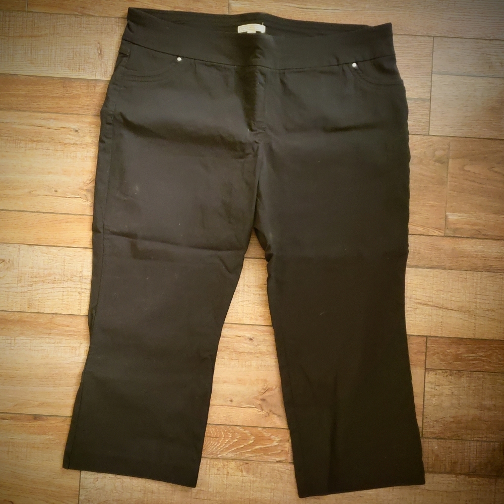 Dana Buchman capris